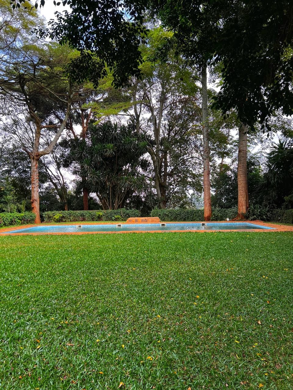 The Pool