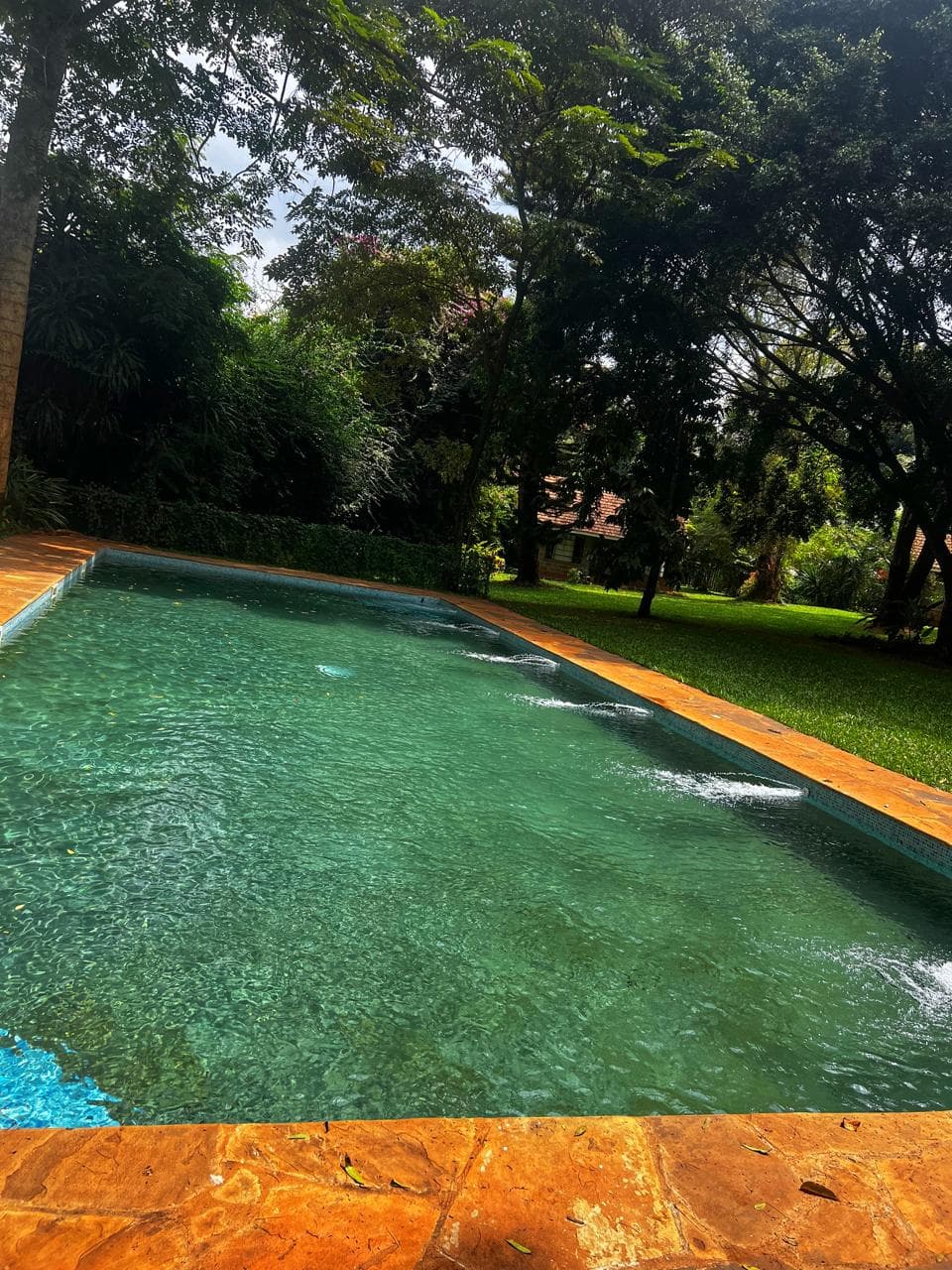 Pool Jets